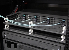 MTP® Cables